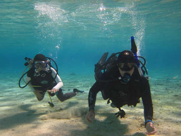 Father & Daughter diving by Cat